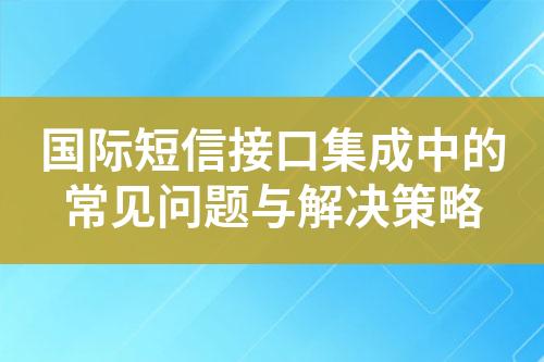 国际短信接口集成中的常见问题与解决策略