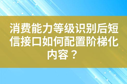 消费能力等级识别后短信接口如何配置阶梯化内容？